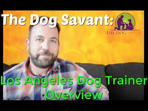 Anchorage Trainer Profile