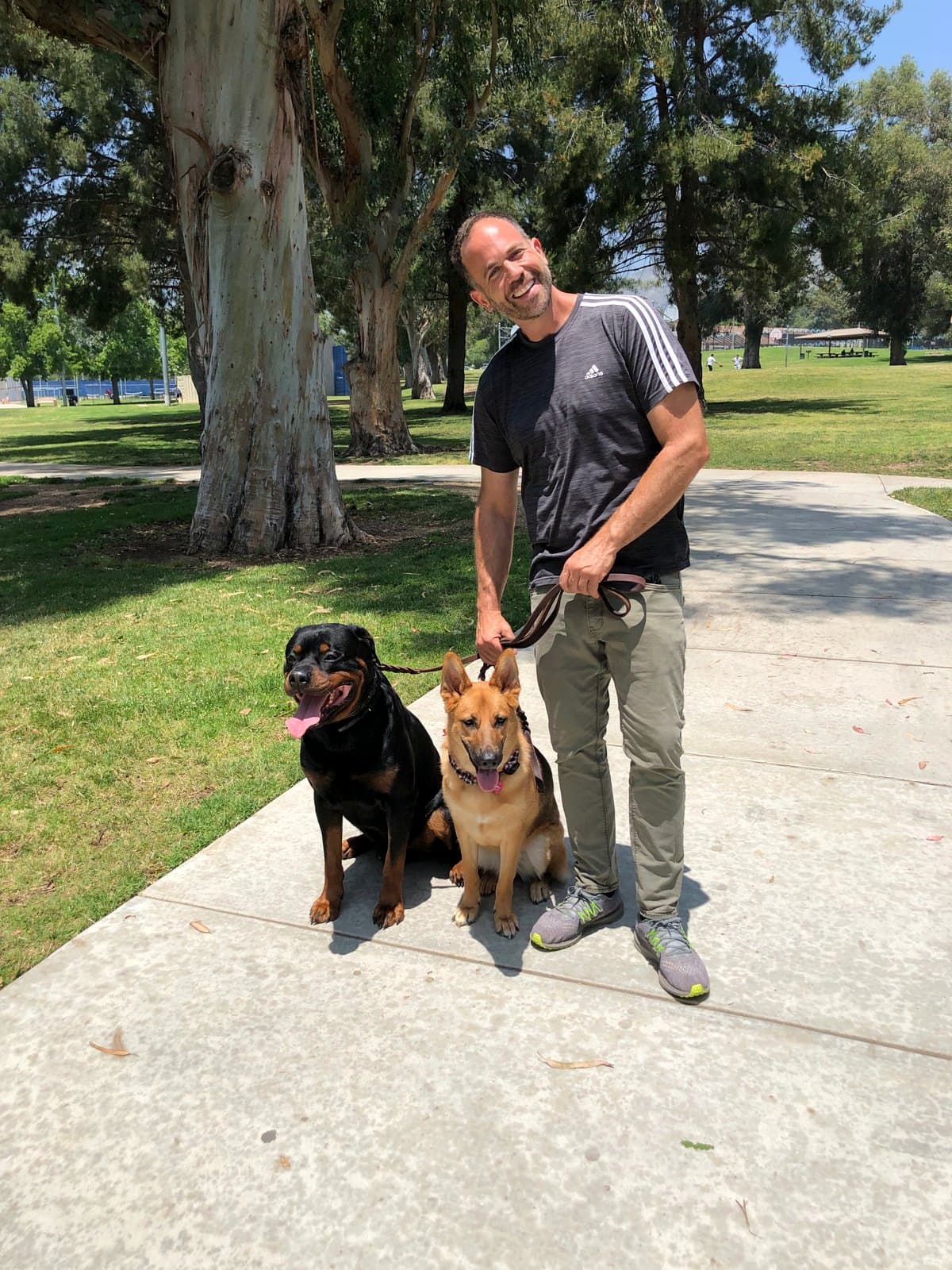 Brett Endes with a Rottweiler and a German Shepherd sitting calmly on a loose leash at an Anchorage park