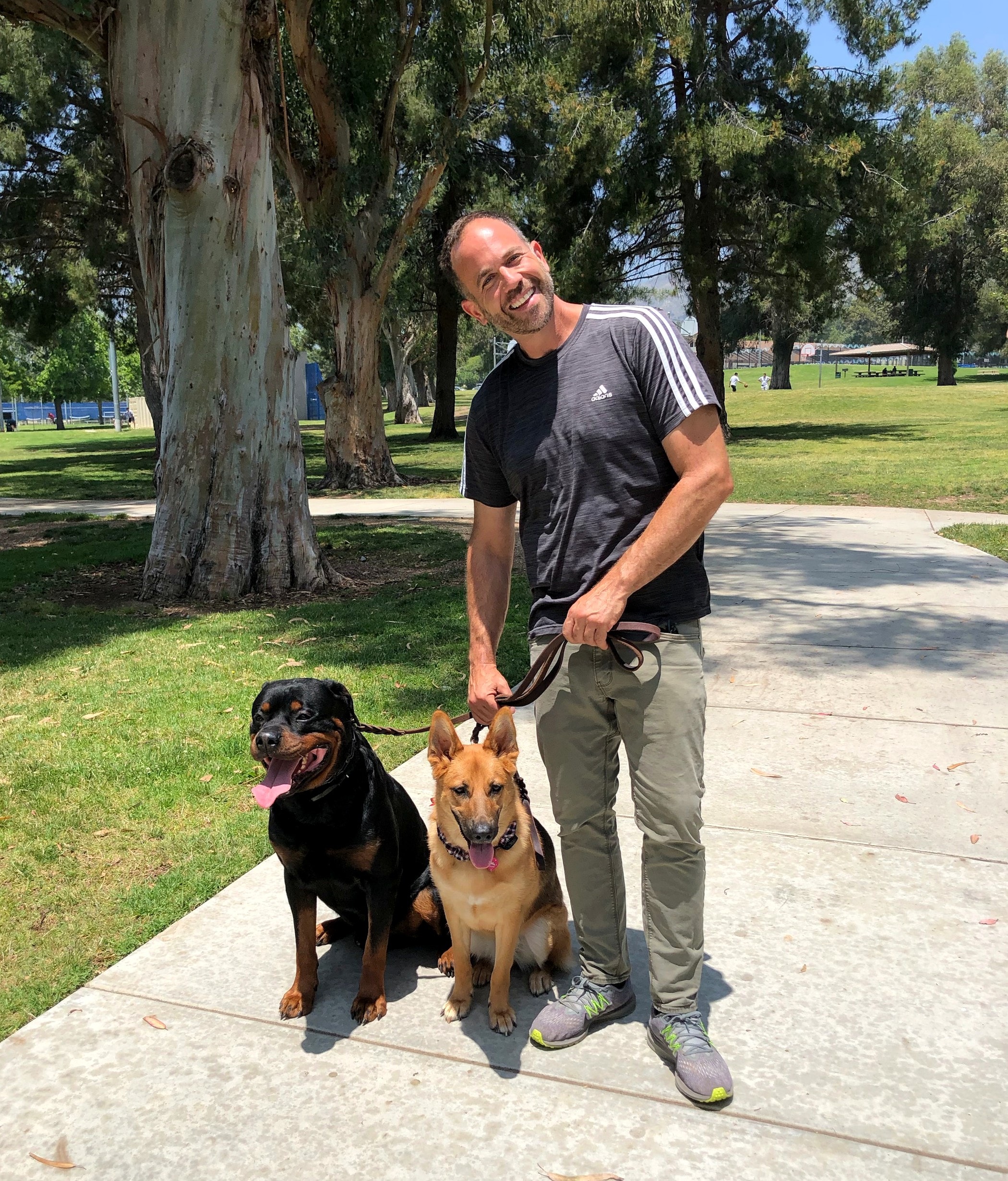 Brett Endes with a Rottweiler and a German Shepherd sitting on a loose leash at a park